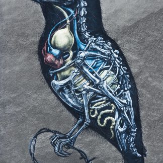 bird organs and skeleton painting