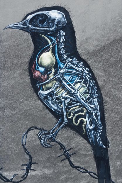 bird organs and skeleton painting